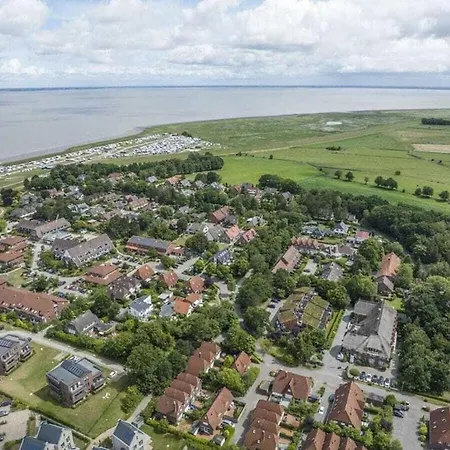 Puustpaus Comfortable Tossens